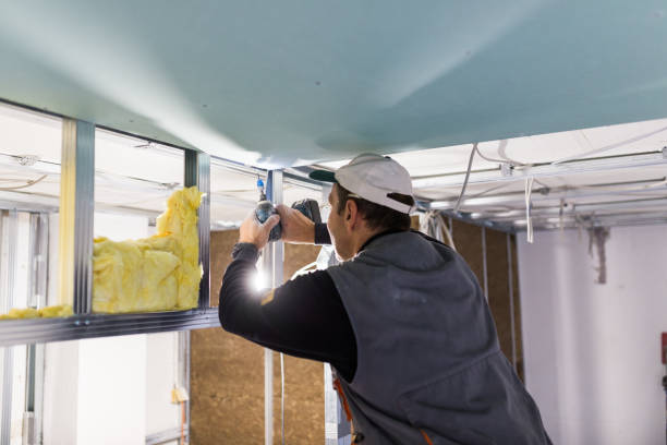 Best Insulation Contractors for Homes  in Marshall, MO
