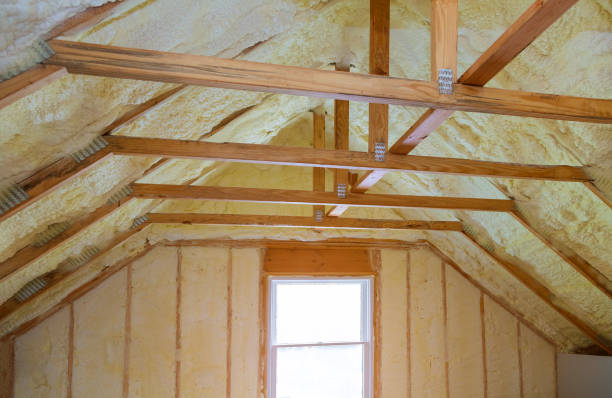 Best Insulation Inspection Services  in Marshall, MO