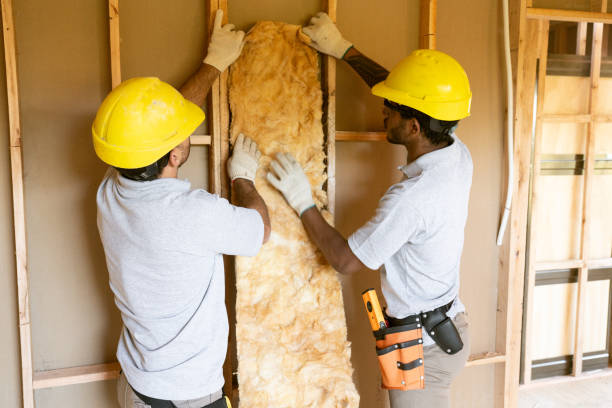 Best Attic Insulation Near Me  in Marshall, MO