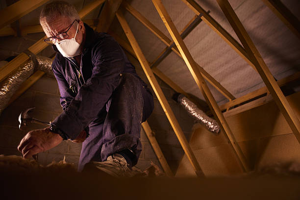 Best Fiberglass Insulation  in Marshall, MO
