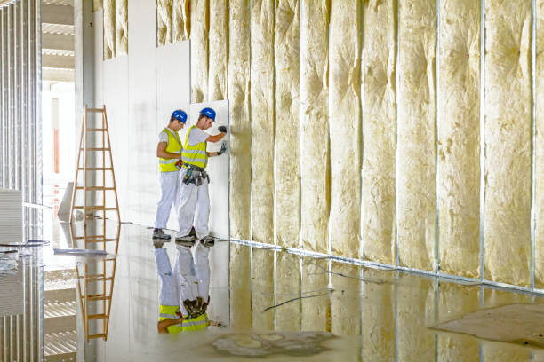 Best Attic Insulation Installation  in Marshall, MO